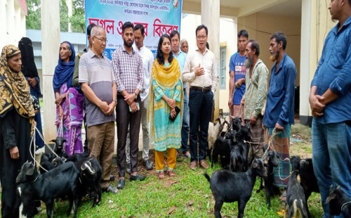 খাগড়াছড়ির ‎পানছড়িতে জেলেদের বিকল্প কর্মসংস্থানের জন্য ছাগল ও শুকর বিতরণ। 