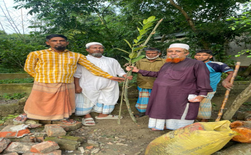 কটিয়াদীতে নাগেরগ্রাম সমাজ কল্যাণ সংগঠনের প্রতিষ্ঠাবার্ষিকী উপলক্ষে বৃক্ষরোপণ 