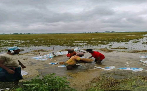 হাওরের কৃষকদের দাবি: সরকারি প্রণোদনা নয়, চাই স্থায়ী নিরাপত্তা: 